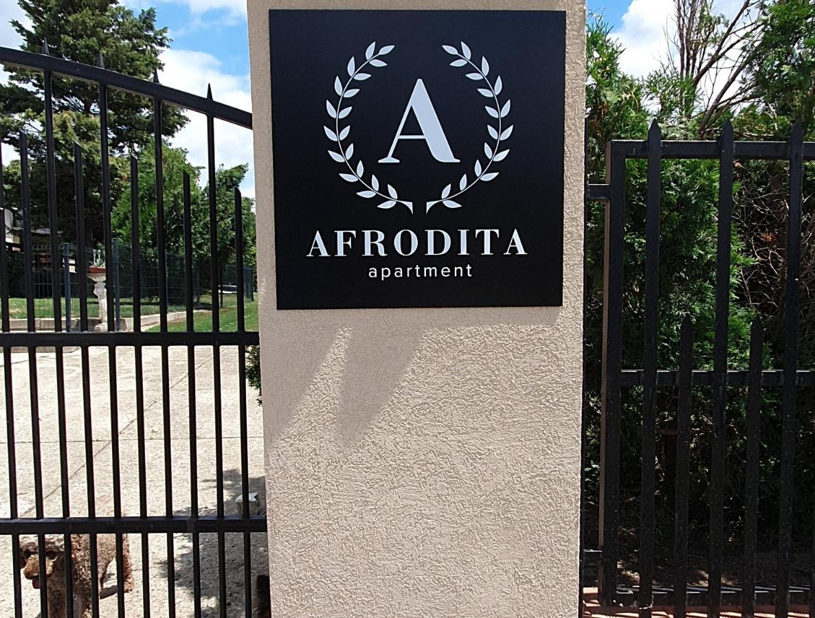 Afrodita Apartment Vrdnik Eksteriør bilde
